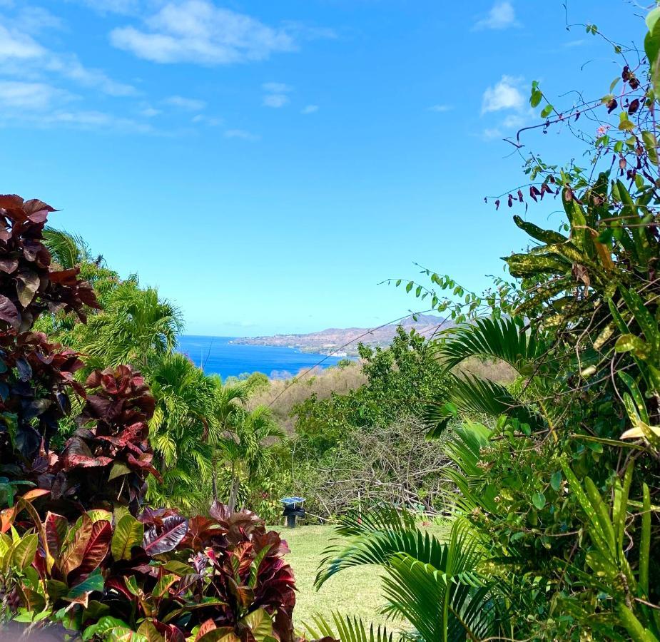 LODGE COLIBRIS vue panoramique mer et montagne pelée , 500 m plage dans un parc , Calme assuré Idéal pour découvrir le nord Caraïbes Le Carbet Exterior foto